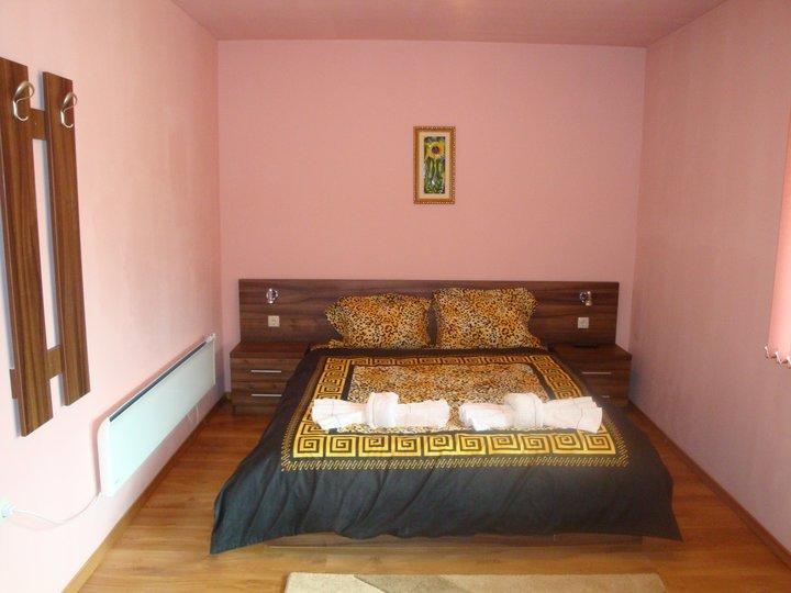 Tzvetelina Palace Hotel دولنا بانيا الغرفة الصورة
