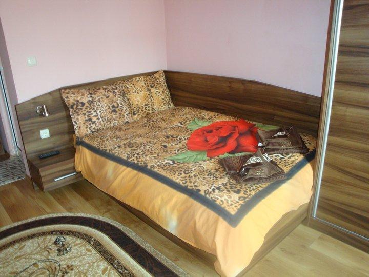 Tzvetelina Palace Hotel دولنا بانيا الغرفة الصورة